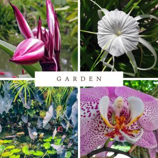 Hotel Excelsum Tayrona - 1