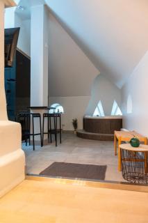 Glorious penthouse with private sauna and jacuzzi - 0