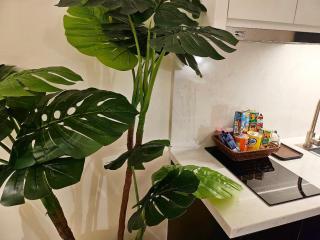 Our Home Homestay Hạ Long - 8