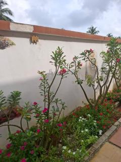 Complexe Hôtelier Lassavane - 8