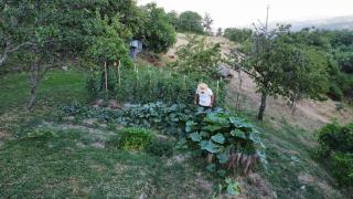 L'Orto di Scarpaccia - 6