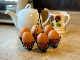 The Garden Barn, Manuden nr Stansted - 9