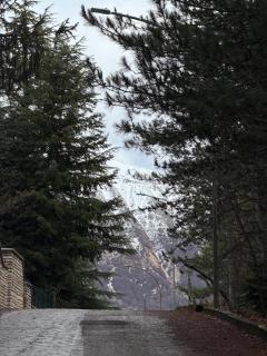 Casa dei Boschi - Campo di Giove - 9