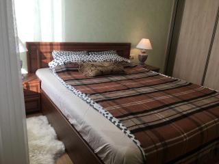 Fully equipped, furnished cozy flat Vilnius Center - 1