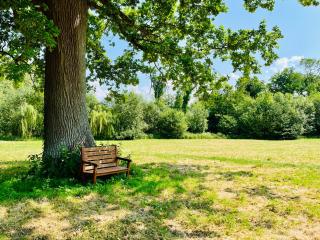 Le Manoir de Bois-en-Ardres - 3