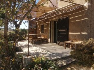 Petit mas en plein vignoble Vallée de l'Hérault - 0