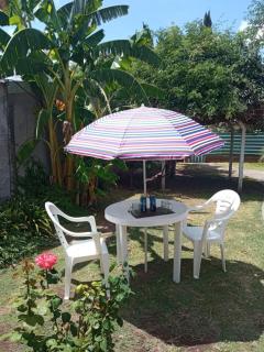 Los sauces y el sol - 6