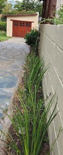 Casa con vista al Cerro Tres Picos - 3