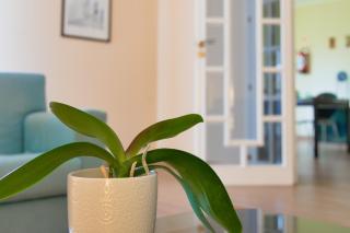 Accommodation in the heart of Salento near the sea - 5