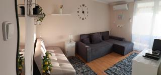 Ilona Apartman Harkány - Harkány - 8