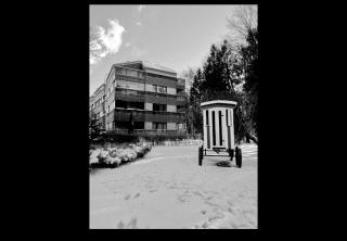 Pine Fine Terrace Apartment 4U 4min Beach - 0