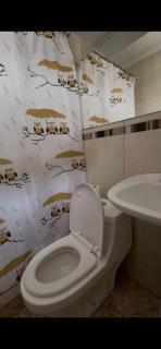 Micelio-departamentos diarios NeuQuen - 3