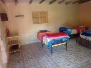 Shendao Eco Salud - 3