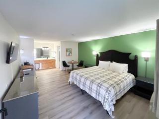 Nature Vibes Studio Walk to Downtown Trolley - 0