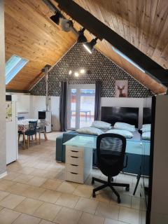 le nid du calice - Abreschviller - 6