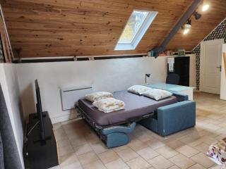 le nid du calice - Abreschviller - 8