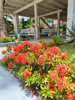 Villas Palmar Residence - 8