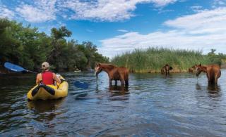Calm Desert Oasis, Heated Pool, Game Room - 4