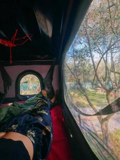 4x4 RoofTent Camper Offroad - 5