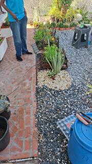 Hoiday Inn Express - 0