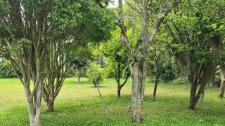 Sítio com piscina Hidromassagem com acesso ao Rio Mampituba - 2