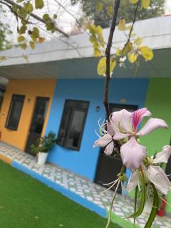 HanaEcoHomestay - 4