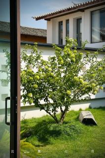 大理沙溪云喜七月精品客栈 Shaxi Ancient Town Yunxi Qiyue Guesthouse - 7