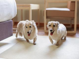 KAMENOI HOTEL Yamato Heguri - 6