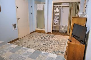 Cozy Cottage in the Woods - 9