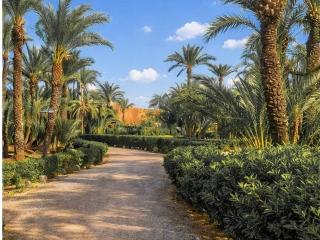 Stylish Apartment with Pool in Marrakech - 6