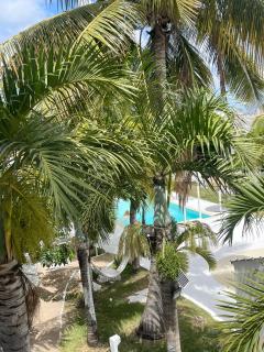 Cocoon Signature - 7