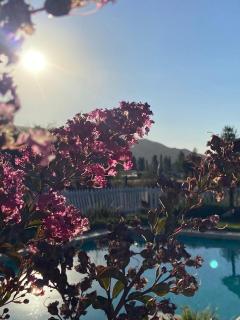 Casa Haciendado de Lolol - 7