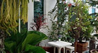 Daddy's home Huahin - 1