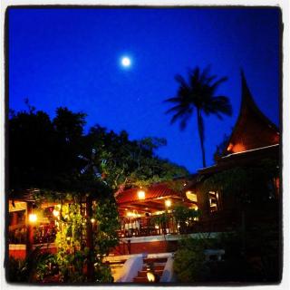 Harry's Bungalows - Mae Nam - 7