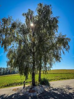 Quietly located vacation villa for horse lovers - 7