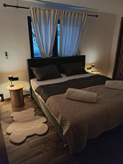 Vrh house - 1