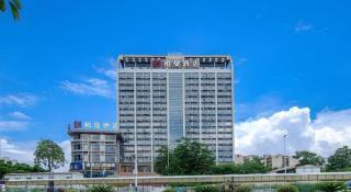 Borrman Hotel Liuzhou High-Speed Railway Station - Liuzhou - 9