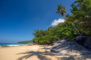 Sunrise Garden A047 2 BR near Airport - 9