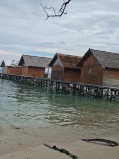 Par fray homestay - 4