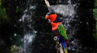 Hotel Adilla Syariah Ambarukmo - 4