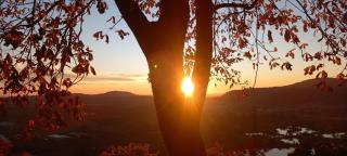 LA FONTANA FIORITA 2 - 4