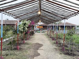 The Peepal farm stay - 5