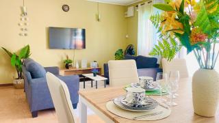 Modern House with Pool - 8