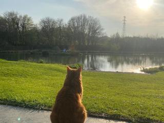 Little Barn, Greendale Farm - 3
