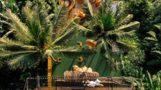 The Cozy Beach Front Hotel - 2