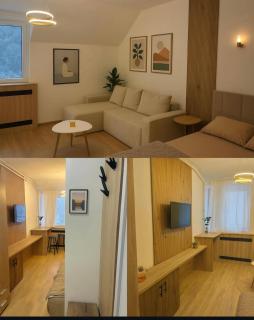 Apartman48Brzeće - 8