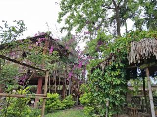 Cocoon in Kaziranga - 3