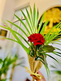 Wellness Residency - 3