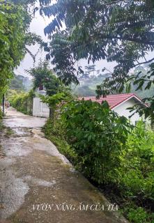 Vườn Nắng Ấm Của Tía - 6