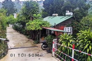 Vườn Nắng Ấm Của Tía - 3